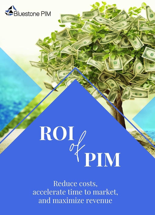 ROI-PIM-min